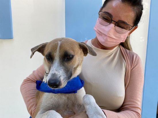 Renata cuida de Chiquinho - Foto: Caíque Rodrigues