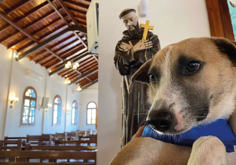 O Chiquinho entrou na igreja de São Francisco há três meses e hoje é parte da comunidade - Foto: Caíque Rodrigues