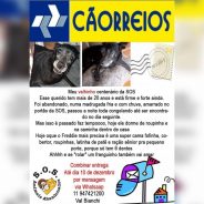 caorreios-cartinhas-ong (1)