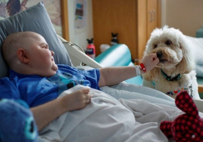 Cãozinho ajuda crianças com medo de agulha a se vacinarem