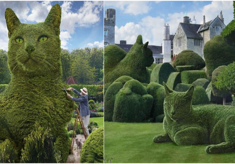 Seu gato morreu em 2016, mas o artista ainda se lembra e cria imagens em sua homenagem Foto: The Topiary Cat