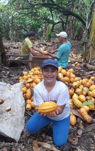 Julia acompanha toda o processo de produção do cacau — Foto: Arquivo pessoal