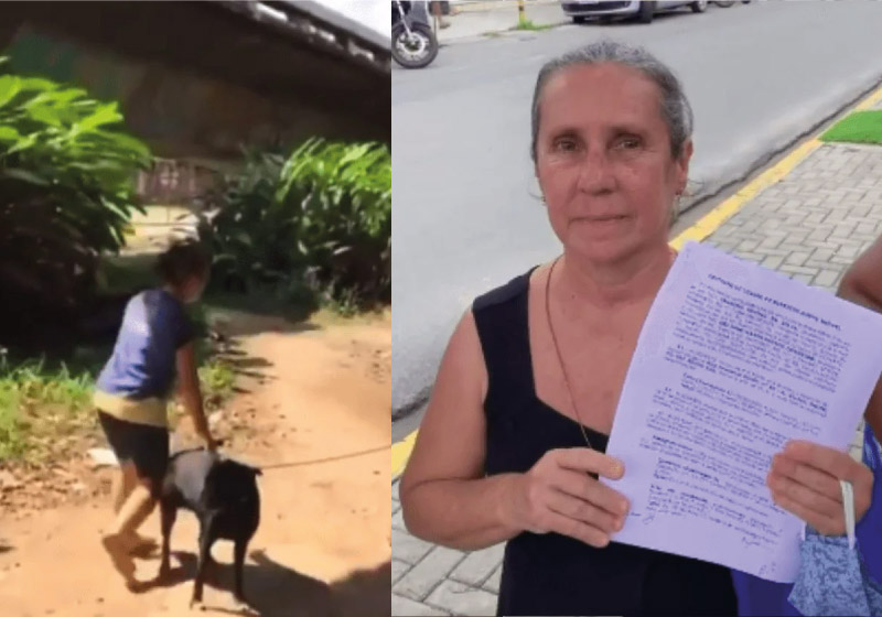 Dona Jane foi encontrada por desconhecidos, que fizeram uma campanha no Instagram e conseguiram comprar uma casa para ela - Foto: reprodução Instagram