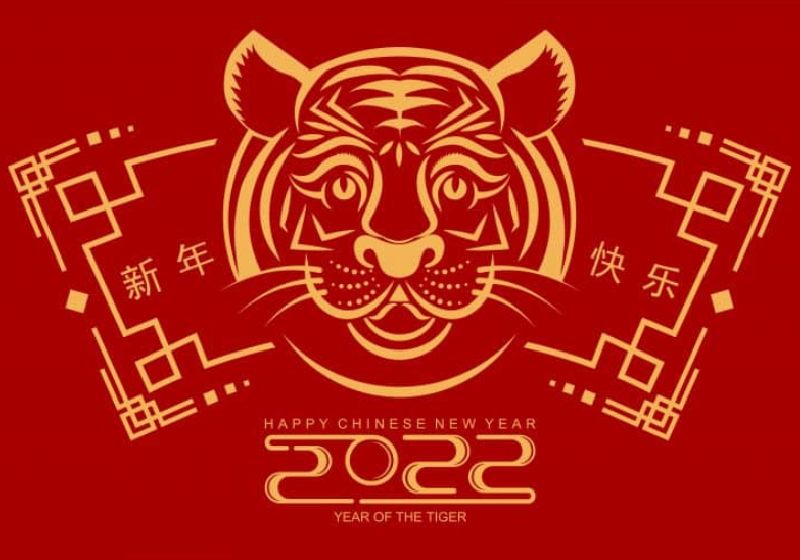 As previsões dizem que 2022, o ano do Tigre, será o ano do acolhimento - Foto: reprodução / EuSemFronteiras