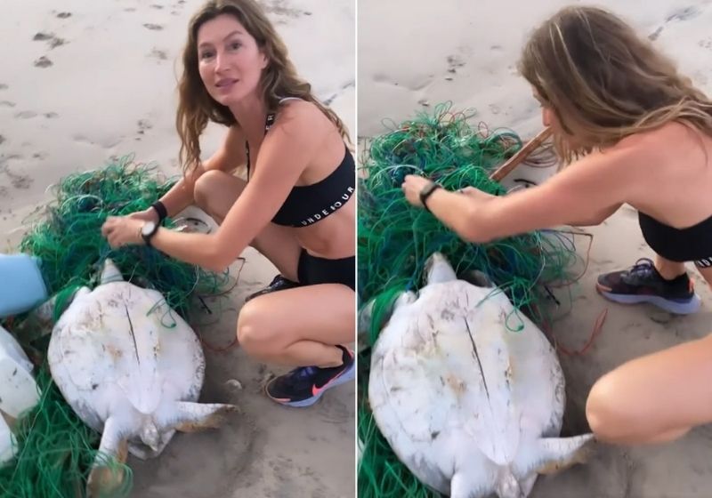 gisele-bundchen-tartaruga (2)