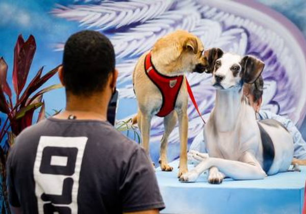 Manchinha foi eternizada com a estátua em tamanho real Fotos: reprodução