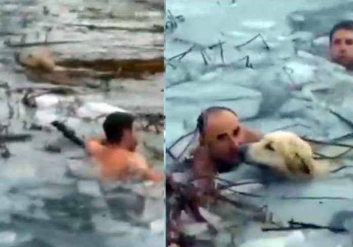 Policiais pulam em lago congelado e salvam cachorro [vídeo]