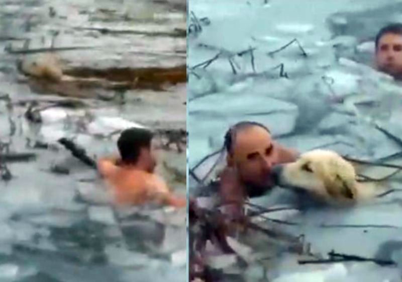 Os policiais entraram no lago congelado e conseguiram resgatar o cachorro que estava preso no gelo - Fotos: reprodução / Twitter