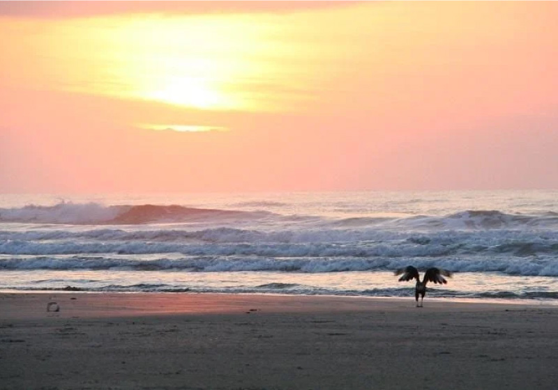 Escolher uma das praias entre São Paulo e Rio de Janeiro, que listamos nessa matéria, será um desafio! Foto: Mapio