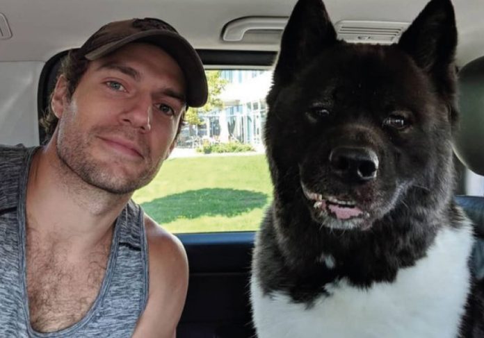 O Superman Henry Cavill disse que o cão dele foi responsável por ele se manter emocionalmente estável - Foto: reprodução Instagram