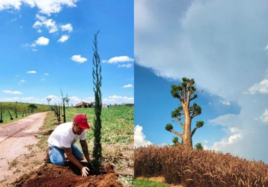 Bruno Gagliasso plantando uma árvore no Rancho da Mantonha e o Baboá que ganhou lugar de destaque no refúgio - Fotos: reprodução / Instagram