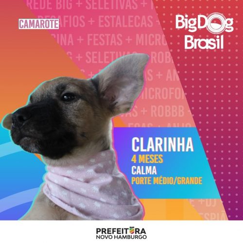 Foto: Prefeitura de Novo Hamburgo