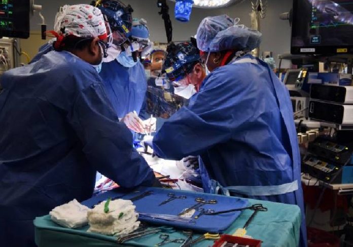 A equipe do cirurgião Bartley Griffith fez o transplante com coração de porco e monitora o paciente para evitar rejeição - Foto:  University of Maryland Medicine / Divulgação