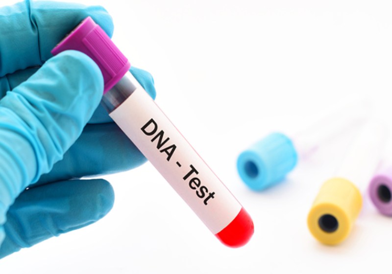 A Defensoria Pública Defensoria ajuda a provar paternidade com DNA de parentes - Foto: reprodução / Fetal Health