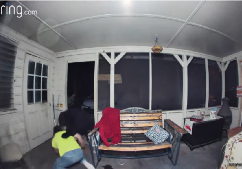 Walter lutou com o urso que invadiu a casa deles e salvou a mulher e os cachorros - Foto: reprodução / Ring.com