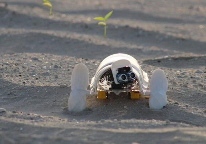 O A’seedbot funciona através de energia solar e percorre sozinho desertos plantando sementes - Foto: divulgação
