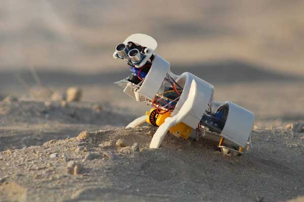 O robô percorre desertos plantando sementes - Foto: divulgação