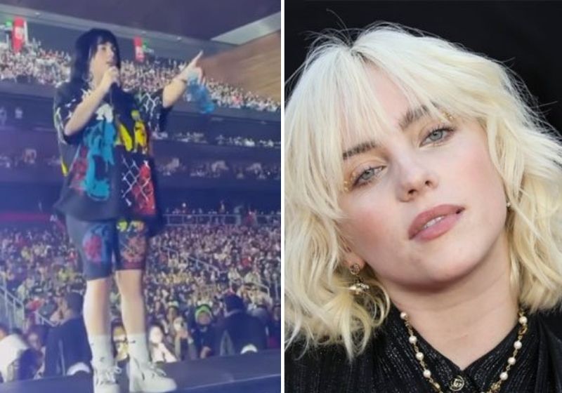 A cantora Billie Eilish viu que fã passava mal na grade e parou o show para ajudá-la - Fotos: Reprodução/Instagram