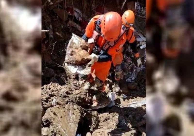 O gato soterrado foi resgatado com vida pelos bombeiros - Foto: Reprodução / Corpo de Bombeiros-RJ