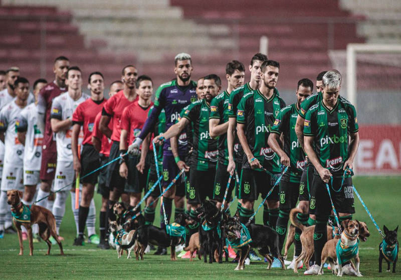 Jogadores do América entraram em campo com cães resgatados Foto: Divulgação