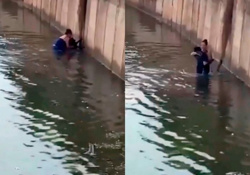 Alessandra entrou no piscinão e salvou o cachorro no interior de São Paulo - Fotos: Reprodução/Vídeo