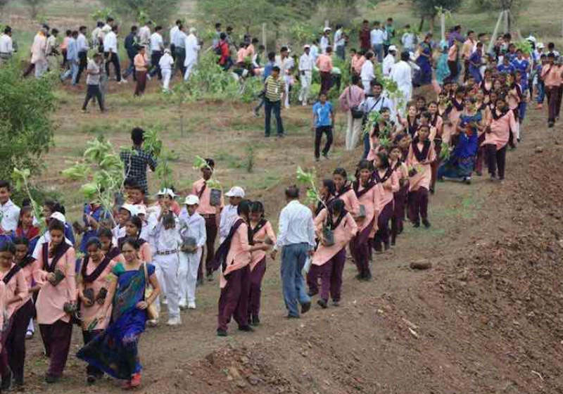 Em 2016, os indianos plantaram 50 milhões de árvores em um único dia no estado de Uttar Pradesh Foto: Governo de Madhya Pradesh