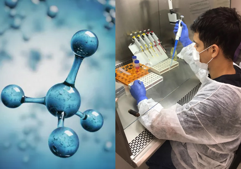 Os pesquisadores de MG realizaram os primeiros testes em camundongos e agora avaliarão a ação das moléculas e células humanas - Foto: Pixabay / Arquivo pessoal