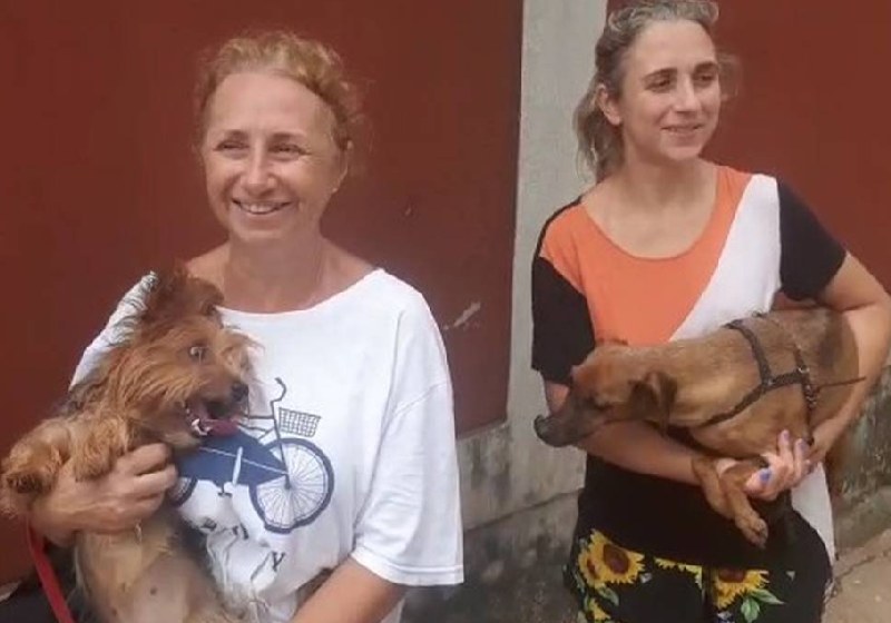 Moradores voltam ao Morro da Oficina, em Petrópolis, atrás dos animais de estimação - Foto: Flávio Trindade / Agência O Globo