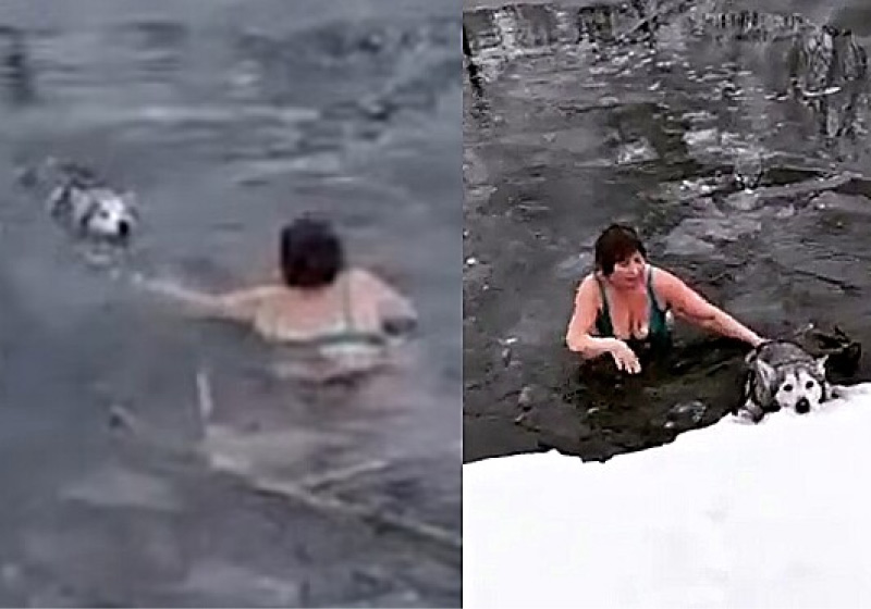 A idosa comentou que não hesitou na hora que viu o cachorro se afogando no lago congelado - Foto: reprodução Instagram @Kolbina_olga_imperium