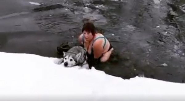 Galina pulou em lago congelado para salvar cão - Foto: reprodução Instagram @Kolbina_olga_imperium