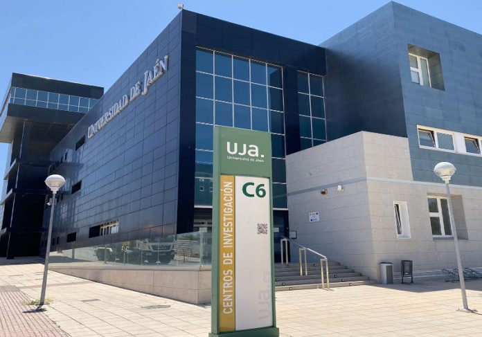 Ao todo, o programa da universidade da Espanha tem 128 vagas para cursos gratuitos de graduação e bolsas de mestrado - Foto: Universidade de Jaén