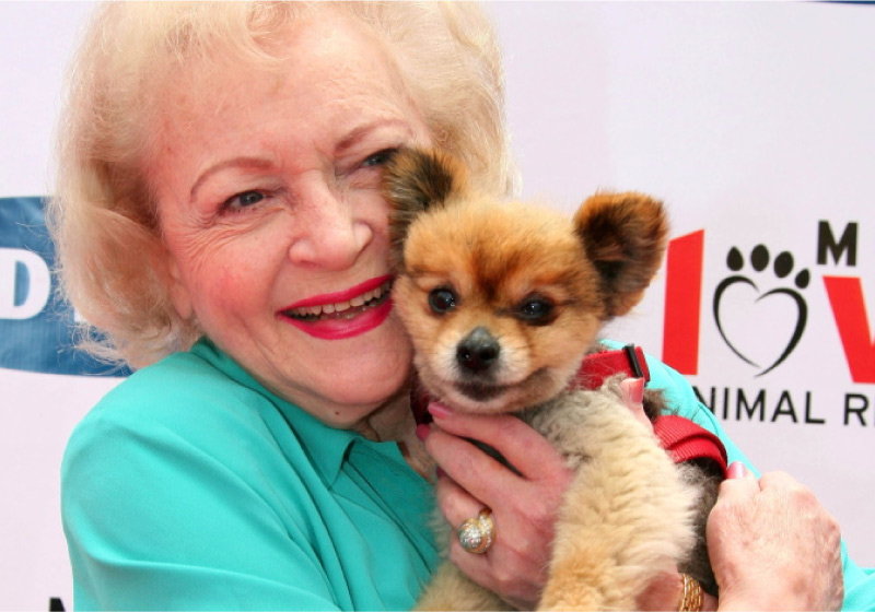 Fãs da atriz Betty White criaram um challenger para homenageá-la. - Foto: reprodução