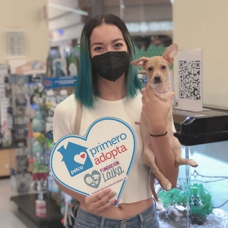 Mia ganhou uma nova chance de viver! Foto: Reprodução/Facebook