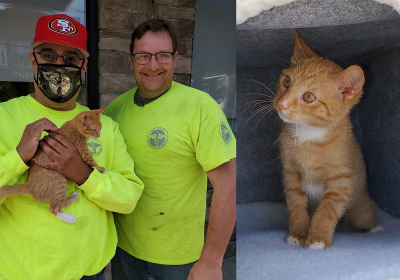 Os coletores encontraram o gatinho em um saco lacrado - Foto: William Montero