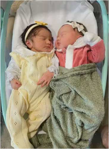 As primas Sofia e Alice nasceram com uma hora de diferença - Foto: reprodução