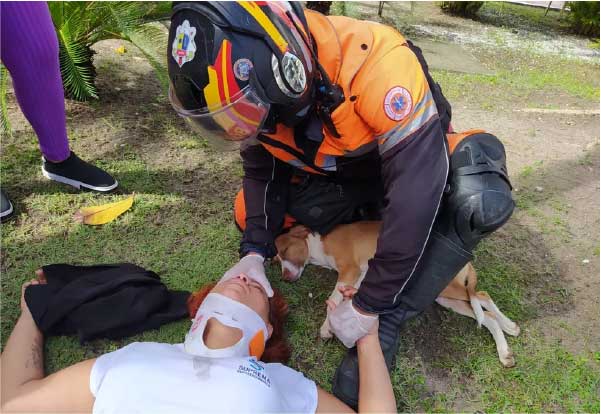 Cão ficou ao lado da motociclista durante todo o procedimento — Foto: Corpo de Bombeiros/Divulgação