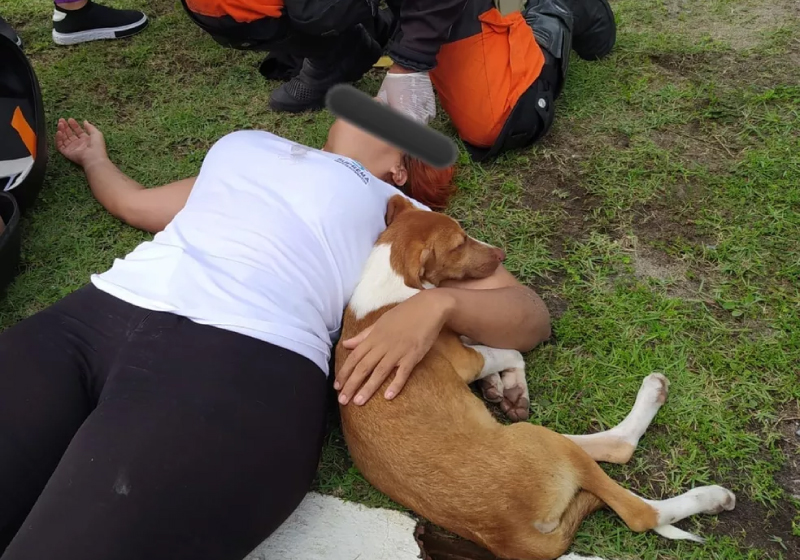 Após o acidente de moto, a cachorra ficou deitada ao lado da motociclista enquanto ela recebia socorro médico - Foto: Corpo de Bombeiros / Divulgação