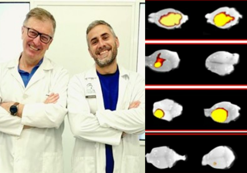 José Luis Venero (à esquerda), líder do grupo de pesquisa IBiS 'Neural Ageing' e Manuel Sarmiento Soto (à direita) e os resultados que mostram que o tumor desapareceu Foto: MG