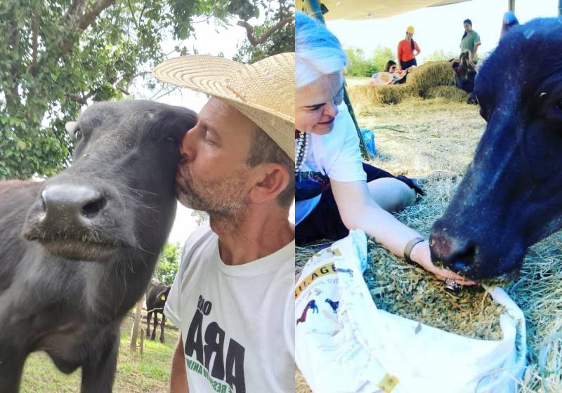 Os ativistas Alex Parente e Antilia Reis atuam no cuidado das búfalas (Foto: Arquivo pessoal)