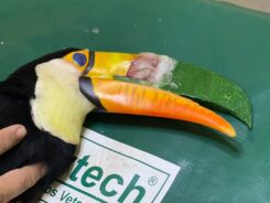 Imasul (Instituto de Meio Ambiente de Mato Grosso do Sul)