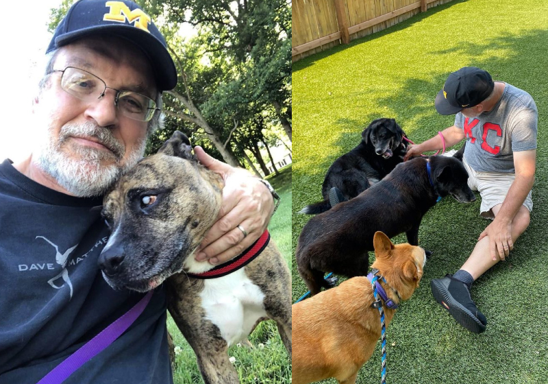 O abrigo para cães idosos abandonados é hoje uma referência nos EUA - Fotos: reprodução Instagram