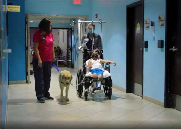 O cão ajuda uma médica do hospital com assistência às crianças - Foto: reprodução