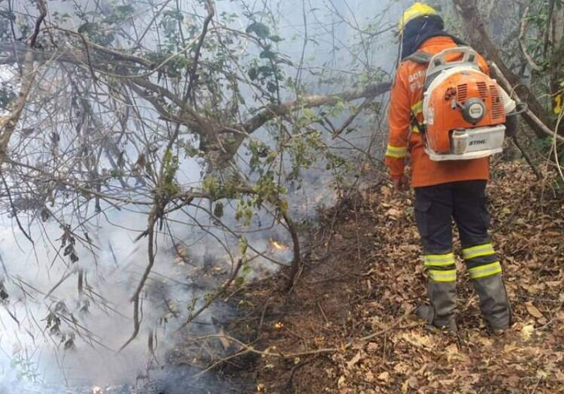 A Inteligência Artifical criada por pesquisadores da UFC vai ajudar no combate e evitar grandes incêndios Foto: reprodução/Incêndio Pantanal