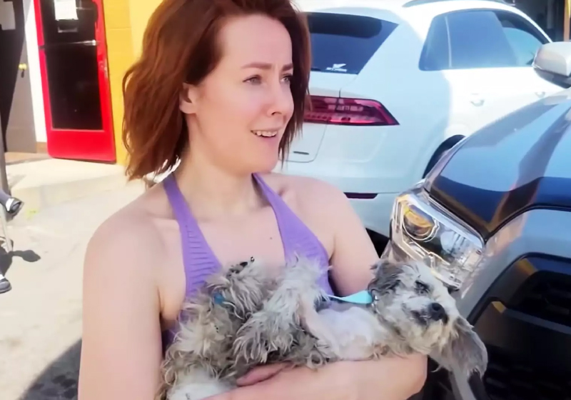 Jena Malone passava na rua quando viu o homem agredindo o cão - Foto: reprodução