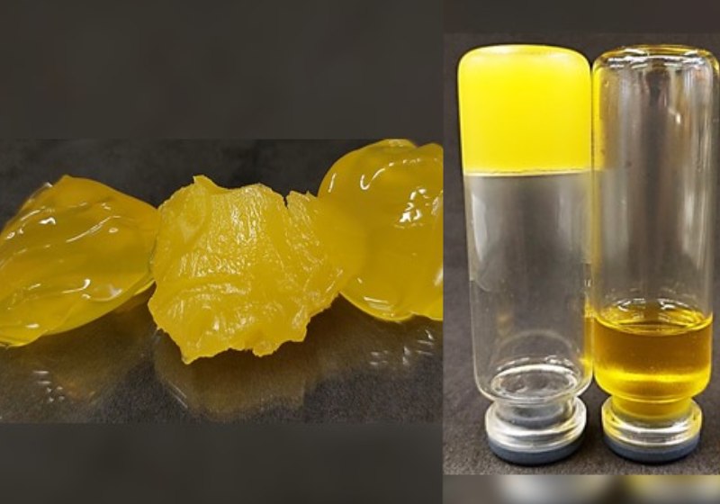 O óleogel desenvolvido na Unicampo pode ser usado para substituir a gordura saturada em alimentos industrializados - Fotos: reprodução / Arquivo Pessoal / Noádia Genuario Barroso