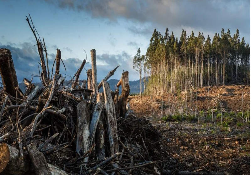 O francês ganhador do prêmio de 200 milhões de euros que prefere ficar no anonimato criou uma fundação para revitalizar áreas degradadas e salvar o planeta - Foto: reprodução
