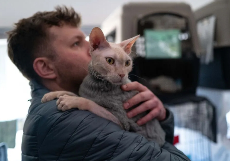 O veterinário já resgatou 200 cães e 60 gatos da guerra - Foto: reprodução
