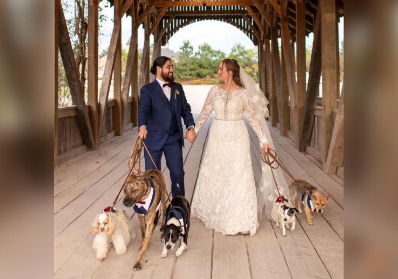Quando a grande data chegou, os cães ganharam até ternos. Foto: EventSmith Productions/Caters News