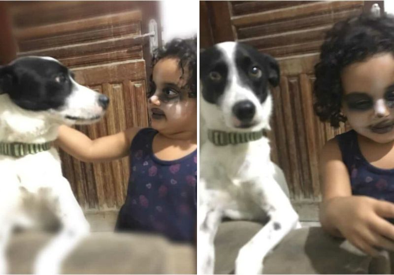 O engraçado é a reação do cachorro Francisco, que parece se impressionar com a imitação da amiga que pintou o rosto - Fotos: Reprodução/vídeo