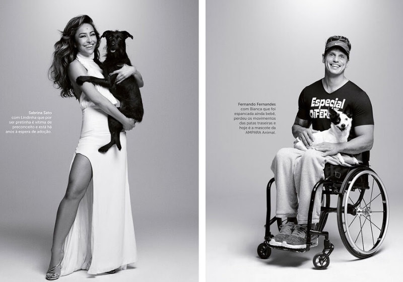A campanha "Sempre ao seu lado" uniu celebridades a cães e gatos para adoção - Foto: divulgação